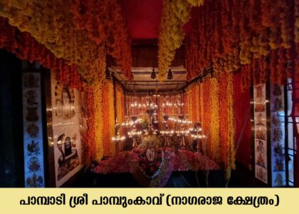 Pampady Pambum Kavu (Sree Nagaraja Kshetram)