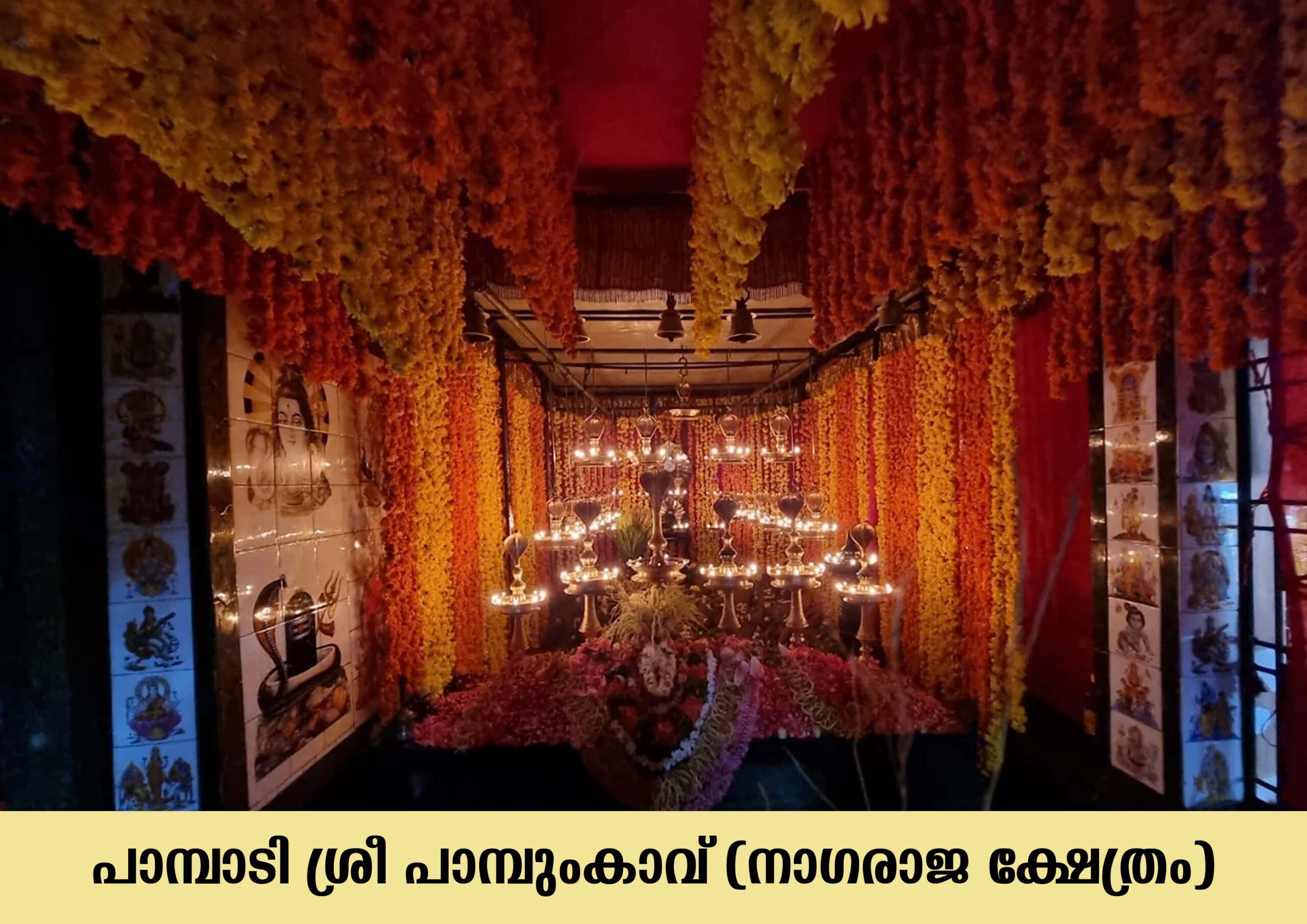 Pampady Pambum Kavu (Sree Nagaraja Kshetram)